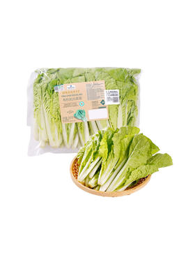 MM 山姆 Member's Mark 有机杭白菜苗 600g