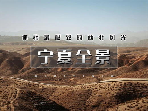 五一5日【宁夏全景】宁夏环线の贺兰山岩画-镇北堡西部影城-西夏王陵-黄河双绝沙坡头-66号公路-青铜峡-水洞沟 商品图0