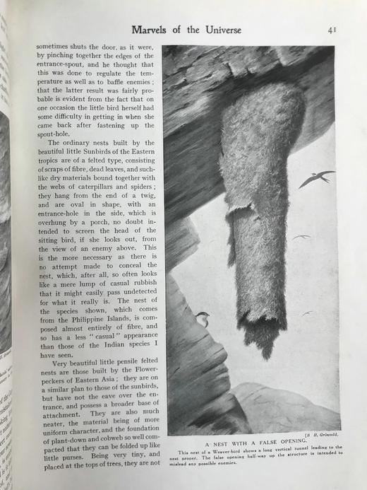 约20世纪早期 宇宙的奇迹（全2卷） 36幅彩色插图821幅黑白插图 精装16开 商品图14