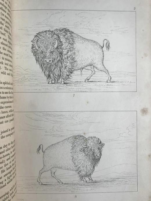 1848年 北美印第安人的礼仪、风俗和状况（全2卷） 360幅版画插图 真皮精装16开 商品图8