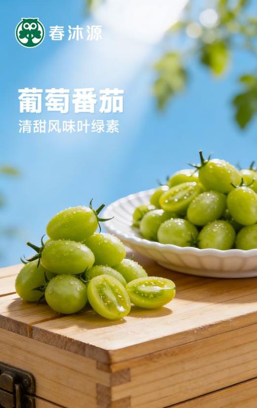 【高原七彩番茄调色桶】无激素、无农残、无重金属，皮薄多汁，口口爆浆，酸甜可口-CC 商品图7