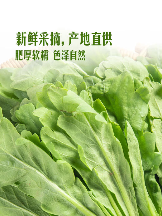 MM 山姆 大叶茼蒿 400g 商品图4