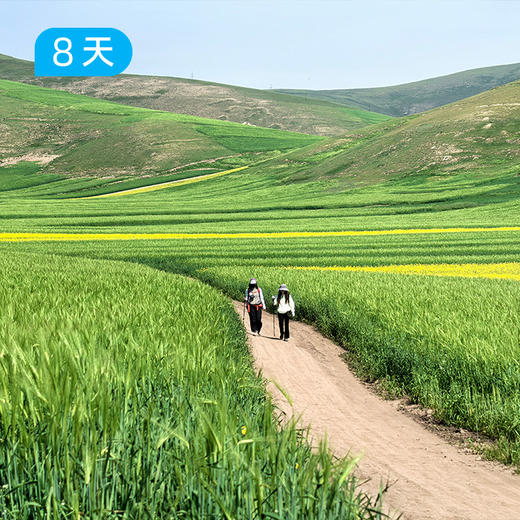 青甘大环线｜新线首发 一生只打算去一次大西北的“终极答案” 8日 商品图9