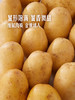 MM 山姆 有机土豆 1kg 商品缩略图5