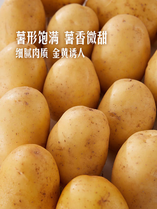 MM 山姆 有机土豆 1kg 商品图5