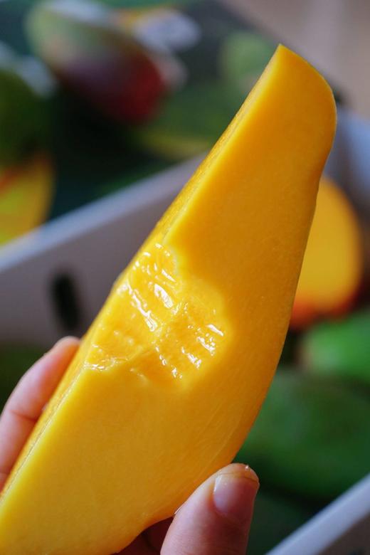 【后熟西施芒】生长在无污染阳光充足的海南岛，新鲜采摘，自然成熟-CC 商品图4