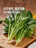 MM 山姆 菠菜苗 400g 商品缩略图4