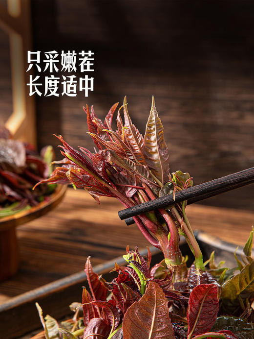 MM 山姆 红香椿 250g 商品图2