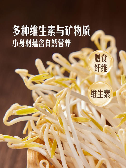 MM 山姆 有机绿豆芽 600g 商品图5