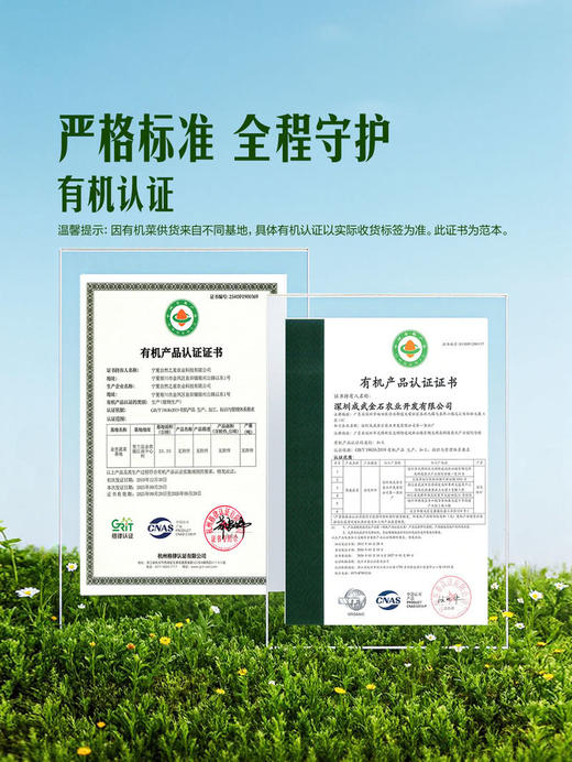 MM 山姆 有机水果青瓜 1kg 商品图3