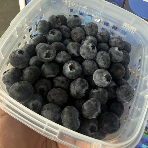 枝冠🫐蓝莓 净果450g  脆甜带花香  37.9/蓝 预定价 规格15+ 商品图0