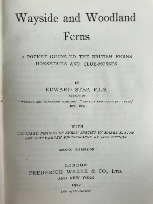 1922年 路旁与林地蕨类植物图鉴 143幅插图 精装64开 商品图2