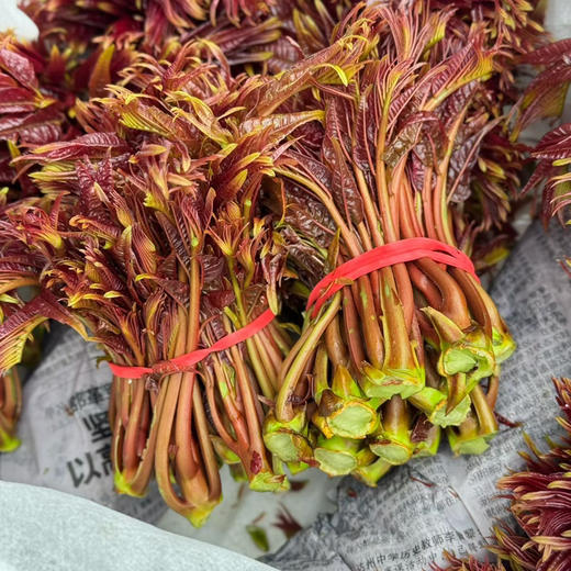 成都红油香椿芽 商品图2