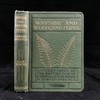1908年 路旁与林地蕨类植物图鉴 143幅插图 精装64开 商品缩略图0