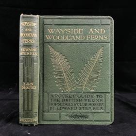 1908年 路旁与林地蕨类植物图鉴 143幅插图 精装64开
