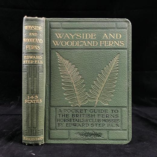 1908年 路旁与林地蕨类植物图鉴 143幅插图 精装64开 商品图0