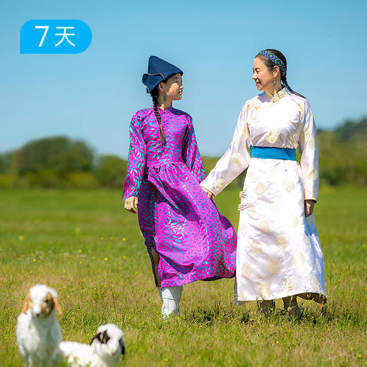 呼伦贝尔 走进草原的家 | 松弛不赶路 探访草原深处牧民家 读行满洲里  16人精品小团 7日 商品图8