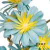 永生花 | 小葵花浅蓝色 商品缩略图2