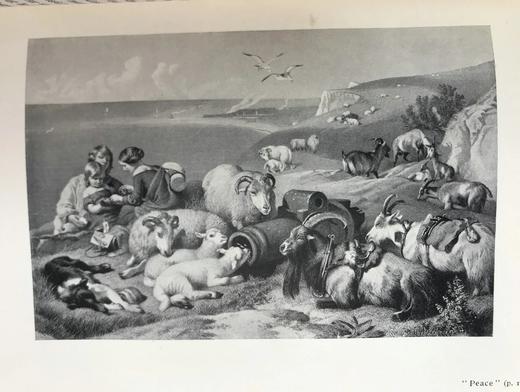 1902年 动物版画家兰西尔传 22幅插图 真皮精装36开 商品图13