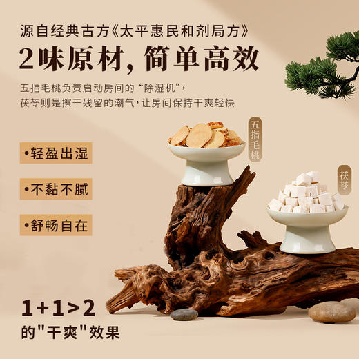 fx【家庭】茯苓清舒茶  五指毛桃茯苓茶 日常饮用 炖汤食材 商品图2