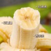 云南威尼斯绿皮甜香蕉 5斤装 商品缩略图8