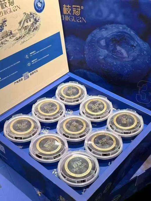 枝冠蓝莓15+ 商品图0