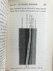 1888年 达尔文《腐植土的形成：蚯蚓的作用及其习性观察》 配插图 精装32开 商品缩略图11