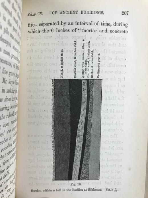 1888年 达尔文《腐植土的形成：蚯蚓的作用及其习性观察》 配插图 精装32开 商品图11
