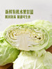 MM 山姆 有机水果甘蓝（大颗）750g 商品缩略图2