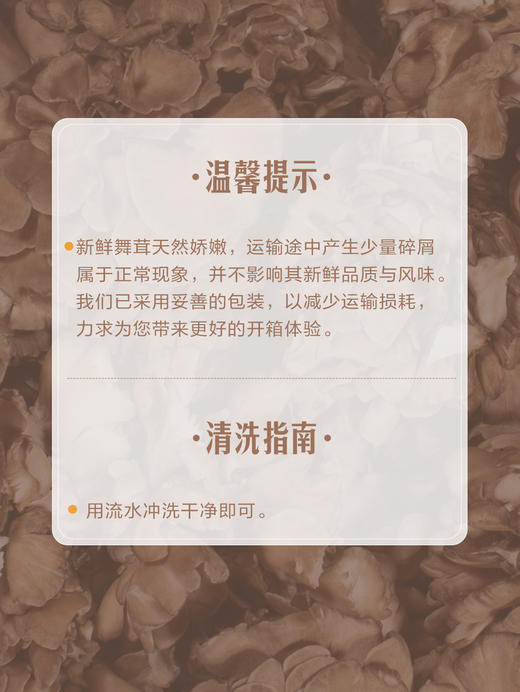MM 山姆 舞茸 300g 商品图5