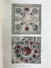 1898年 罗斯金《威尼斯之石》（全3卷） 数十幅插图 漆布精装32开 商品缩略图5