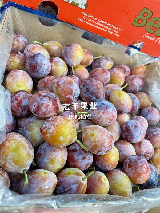 宏丰精选 智利西梅 大果，口感甜 活动价19.8一斤 商品图6