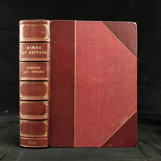 工坊特装本！1907年 英国鸟类图鉴 100幅彩色插图 真皮精装18开 商品图0