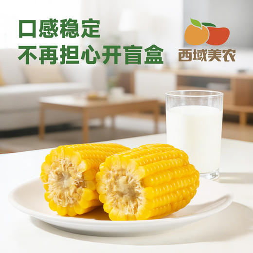 西域美农糯玉米240g*8根 东北黄糯玉米棒 低脂粗粮 早餐苞米 杂粮 商品图3