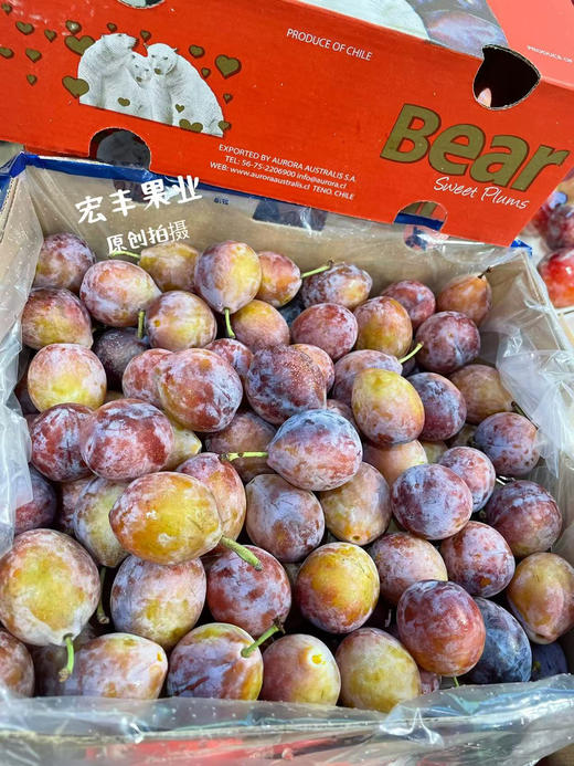 宏丰精选 智利西梅 大果，口感甜 活动价19.8一斤 商品图4