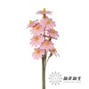 永生花 | 单层瓜子花浅粉色 商品缩略图2