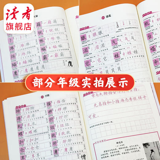 小学语文同步练字帖 全学段、阶梯式硬笔书法练习册 商品图6