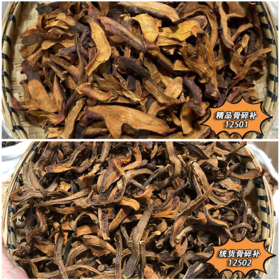 骨碎补  精品骨碎补  统货 代客定制-骨碎补