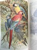 1893-96年 皇家自然史（全6卷） 千余幅版画插图（含大量套色版画） 真皮精装16开 商品缩略图14