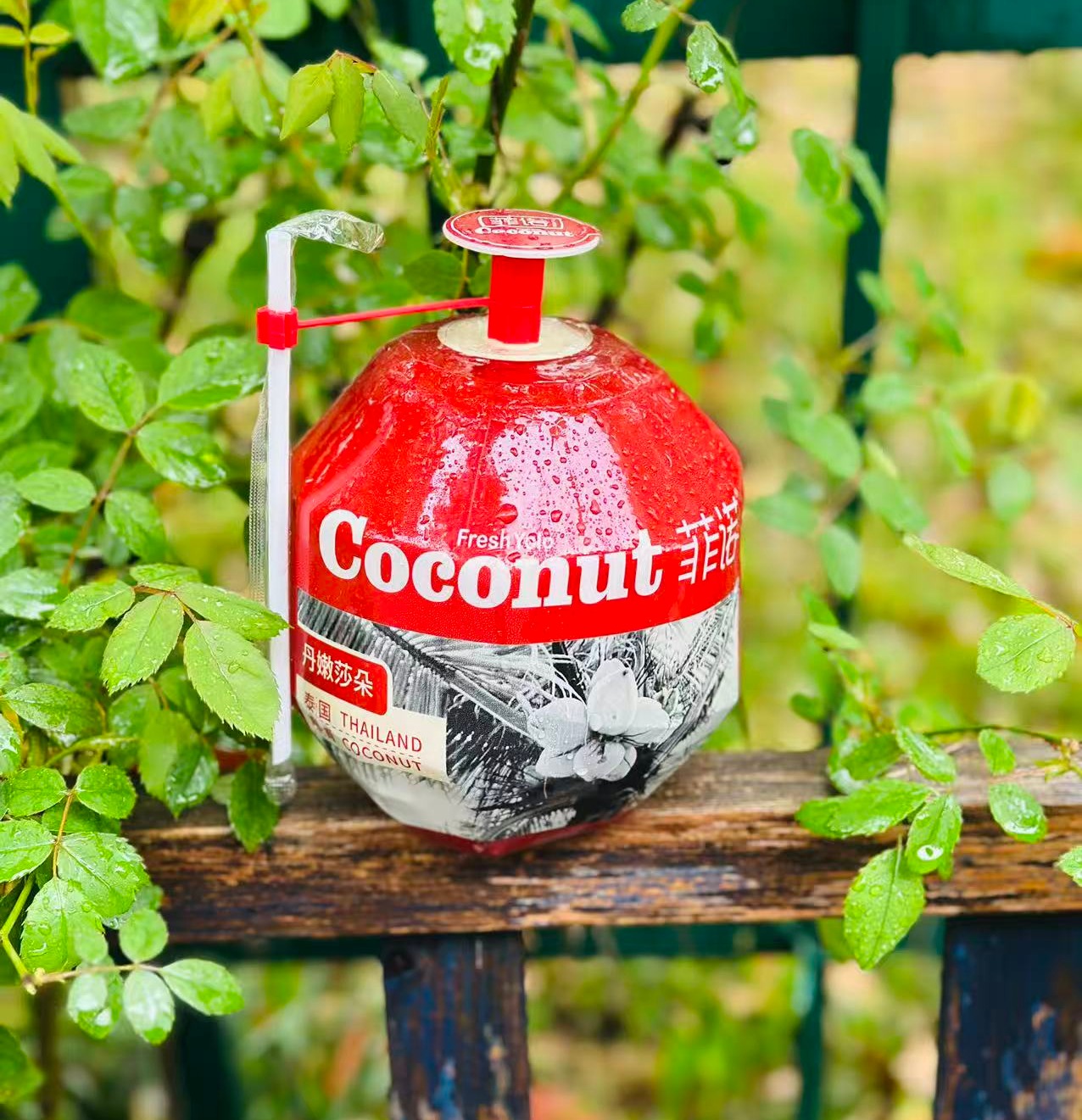 菲诺泰国丹嫩莎朵椰青| 上面自带开口处很容易打开 配送吸管 ，插上就能喝； 椰汁清甜不腻，椰香浓郁， 回味～～