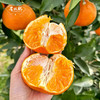 【明日见柑橘】伙记优选四川新鲜水果 明日见柑橘 精选中大果 4.5斤装 现摘现发橘子 原产地直发 不打药 细嫩化渣 汁多味浓 商品缩略图4