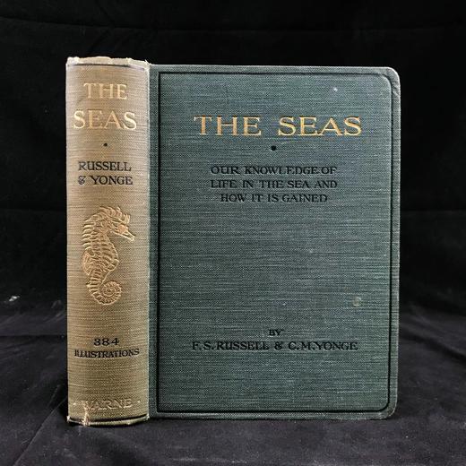1928年 海洋生物图鉴 384幅插图（167幅彩色） 精装64开 商品图0