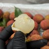 春日尝鲜【海南桂花香荔枝】空运直达！早果树熟荔枝，果肉晶莹剔透，肉嫩鲜爽多汁，淡淡桂花清香，该荔枝品种果核略大哟。净重2斤/箱，江浙沪皖顺丰包邮~ 商品缩略图1