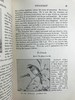1911年 赫德森《英国鸟类》 8幅彩色百余幅黑白插图 全真皮精装32开 商品缩略图11