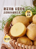 MM 山姆 有机土豆 1kg 商品缩略图6
