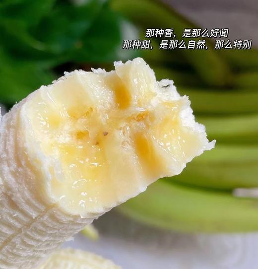 云南威尼斯绿皮甜香蕉 5斤装 商品图3