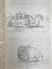 1848年 北美印第安人的礼仪、风俗和状况（全2卷） 360幅版画插图 真皮精装16开 商品缩略图9