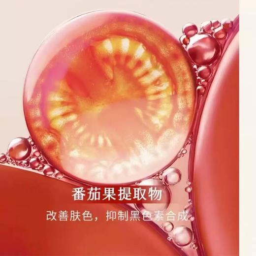 枫缇亮白改善暗沉淡BAN胶囊精华熬夜提亮次抛 42粒装 商品图7