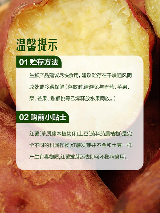 MM 山姆 康沙板栗薯 1kg 商品图6