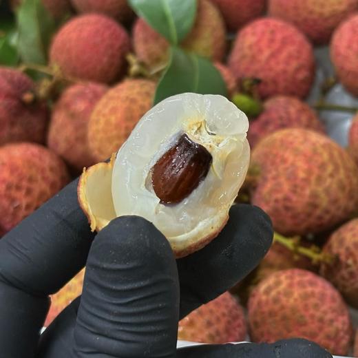 春日尝鲜【海南桂花香荔枝】空运直达！早果树熟荔枝，果肉晶莹剔透，肉嫩鲜爽多汁，淡淡桂花清香，该荔枝品种果核略大哟。净重2斤/箱，江浙沪皖顺丰包邮~ 商品图0